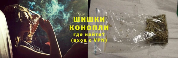 бошки Алексин