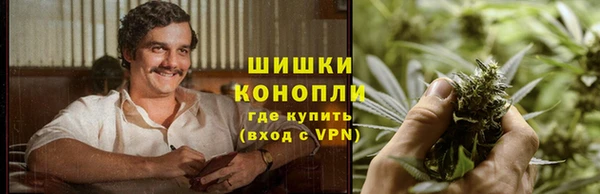 гашик Алзамай