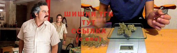 гашик Алзамай
