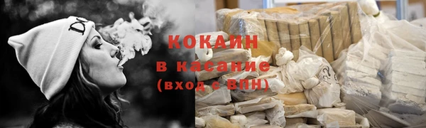 гашик Алзамай