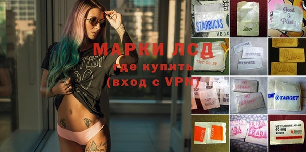 гашик Алзамай